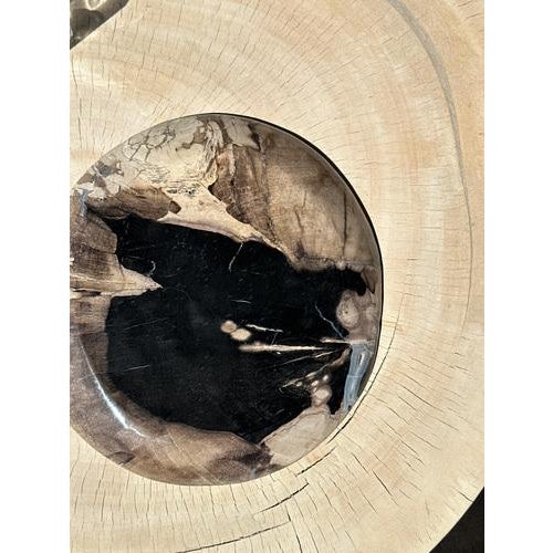 Large Vide-Poche or Dish in Petrified Wood For Sale - Image 5 of 18