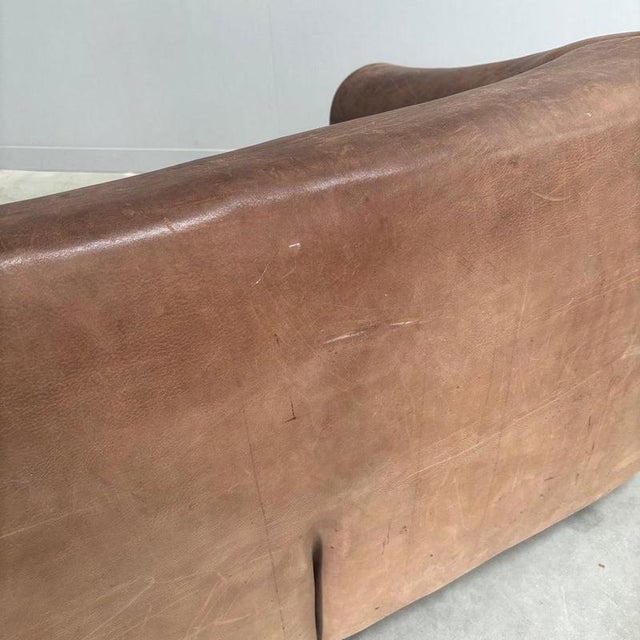Vintage Model DS47 Sofa from de Sede, 1970s For Sale - Image 11 of 12