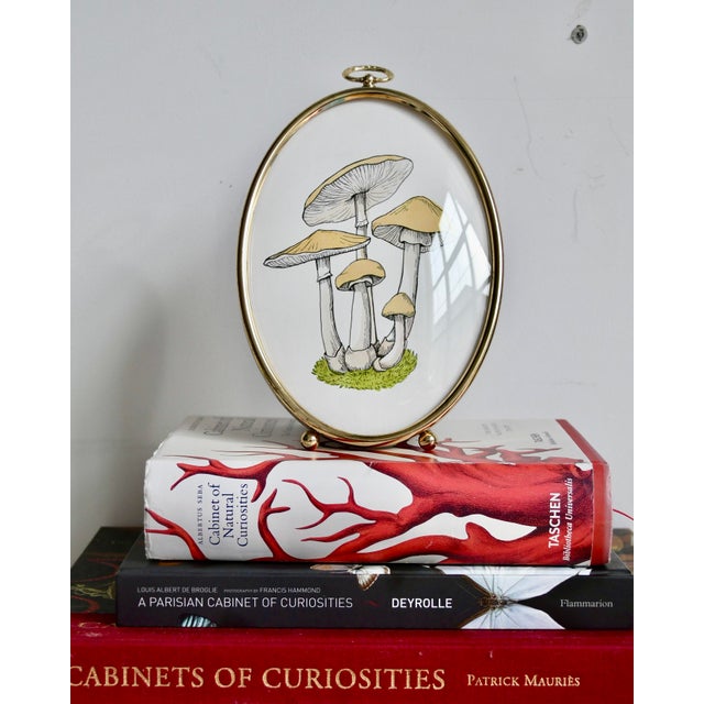 Original watercolor and ink illustration of mushrooms, with vintage convex glass frame. Dimensions: 5 x 7" This is a...