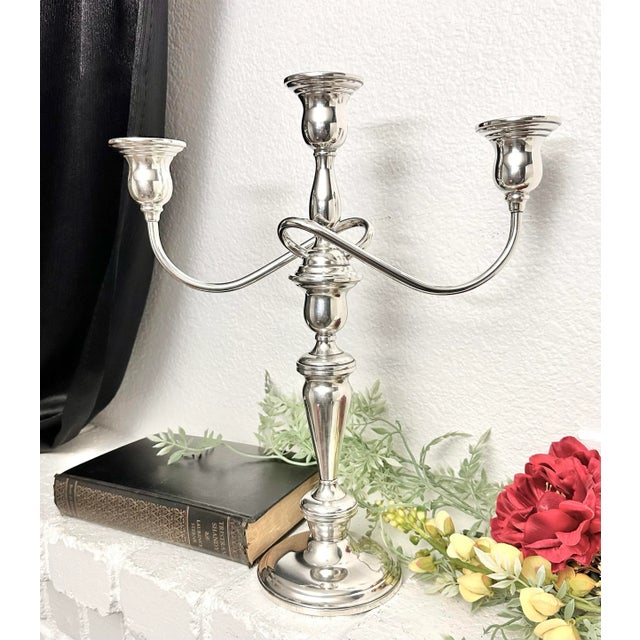 Silver Vintage Sterling Silver Lord Saybrook Twisted Branch Candelabra For Sale - Image 8 of 11
