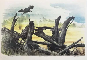 "Hawk's Country" Contemporary Wildlife Hand Signed and Numbered Lithograph by Carl Arlen