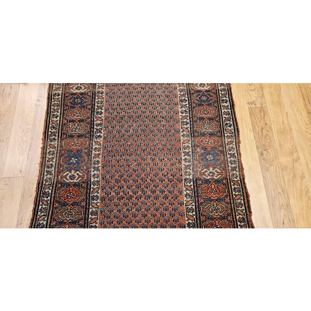 Antique Persian Kurdish Rug, Hand-Knotted Wool, All-over Paisley Pattern, Rust & Navy, 3x6 For Sale - Image 12 of 17