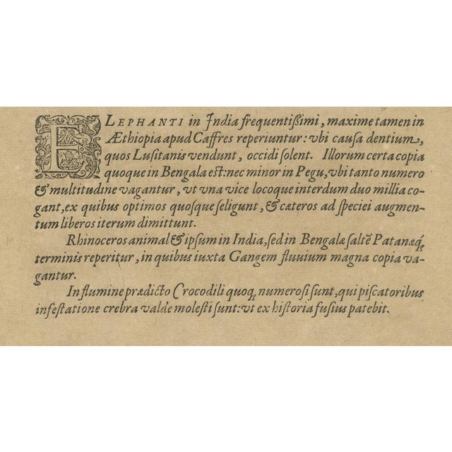 Theodore de Bry, Animals in India, 1601, Copper Engraving on Paper For Sale - Image 4 of 8