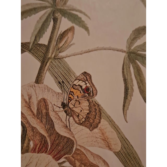 Beige Exquisite Botanical Prints From the Sutton Collection (2) For Sale - Image 8 of 12