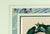 Paper Antique Botanical Prints by Sir Joseph Paxton From the Magazine of Botany For Sale - Image 7 of 16