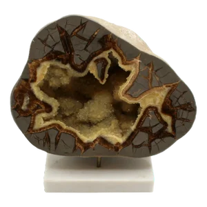 Cretaceous Period Calcite Septarian Nodule on Custom Stand