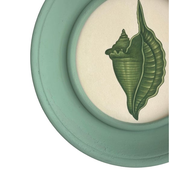A beautifully detailed hand-painted seashell, brought to life in rich shades of green with delicate linework, soft...