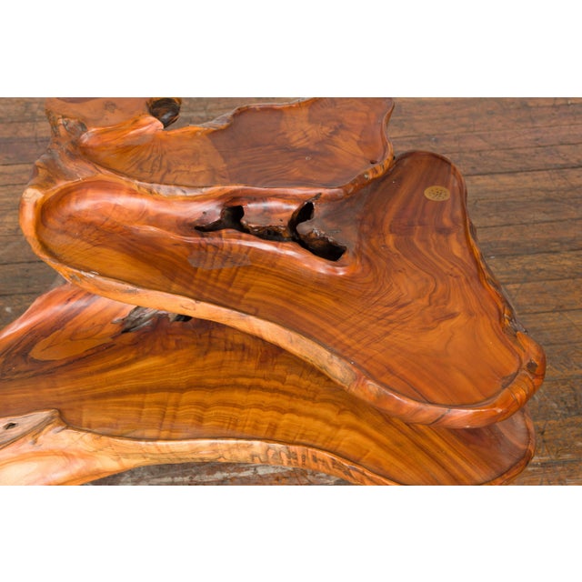 Wood Indonesian 20th Century Lacquered Root Stand Drilled to Work as a Fountain For Sale - Image 7 of 13