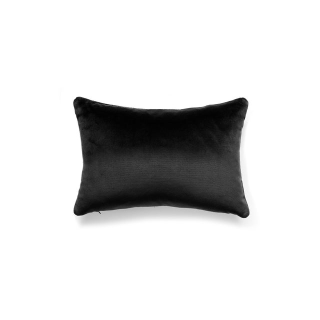 This listing is for a single pillow. The background pillow is to showcase the fabric on the back side. Amp up your space...
