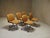 Office Chairs attributed to MIM Roma, 1958, Set of 5 For Sale - Image 4 of 9