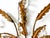 Mid Century Italian Gold Gilt Tole & Crystal Wall Sconces — Hollywood Regency / Italian Florentine Style For Sale - Image 10 of 11