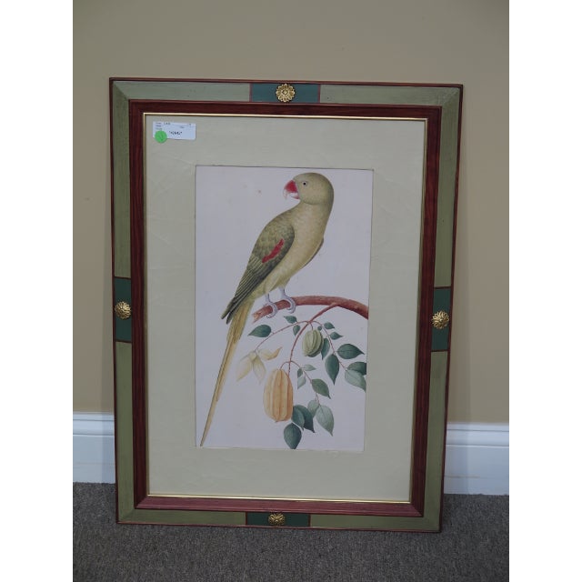 2010s "Parrot" Framed Print by W. King Ambler For Sale - Image 5 of 5