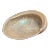Mid 20th Century Abalone Shell For Sale