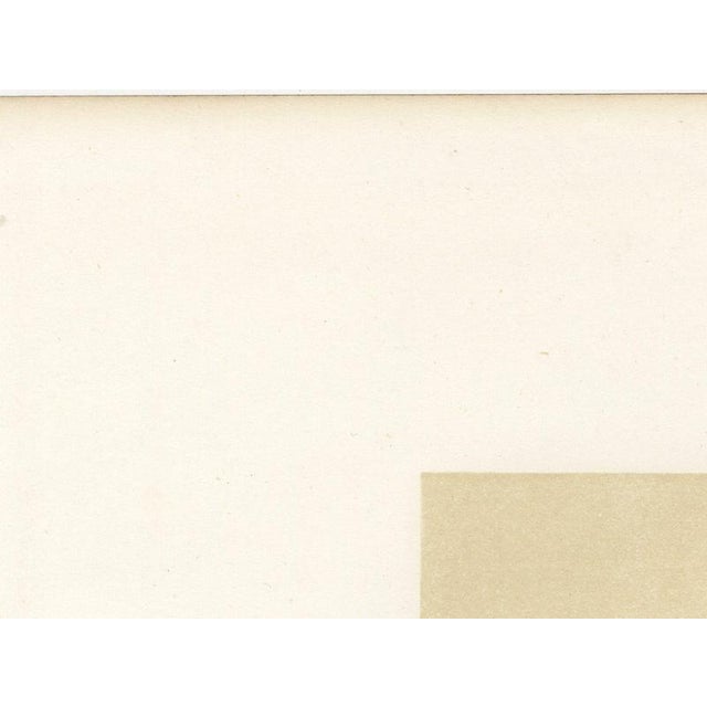 Emilie, Durham Shorthorn Cow of Corbon, 1873, Paper For Sale - Image 6 of 12