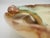 Ceramic Ceramic Fruit Bowl by Christer Heijl for Töreboda Keramik, Sweden, 1930s For Sale - Image 7 of 11
