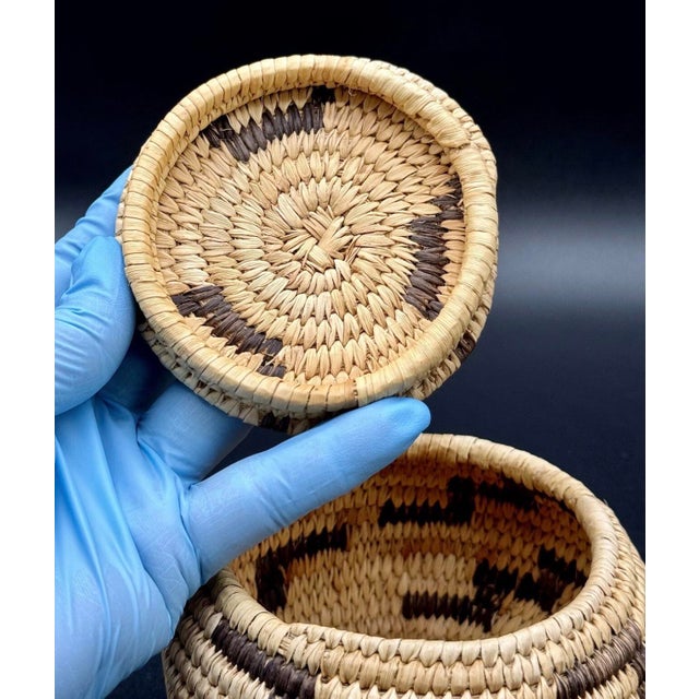 1930s Native American Papago Style Hand Woven Lidded Coil Basket. Tohono O’odham Style For Sale - Image 9 of 12