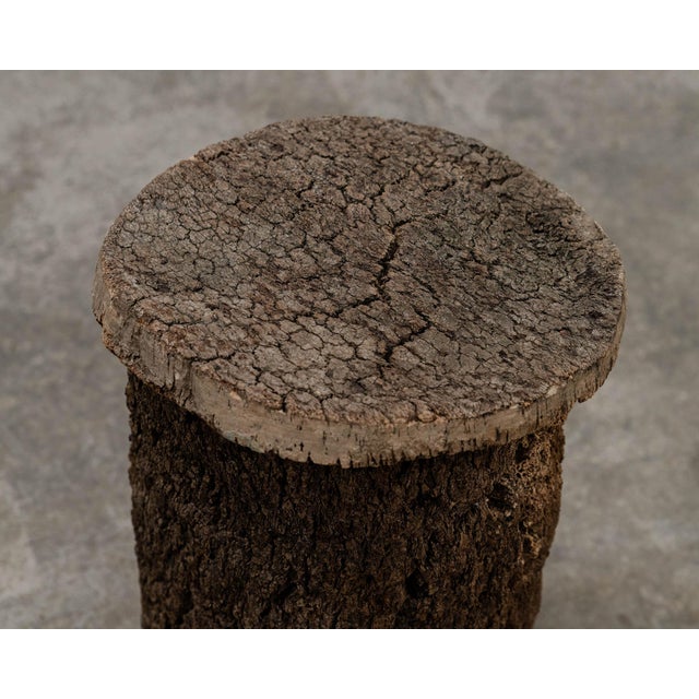 Antique Primitive Cork Beehive, 19th Century For Sale - Image 4 of 8