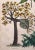 Early 19th Century 19th Century Antique Hand Colored Tropical Botanical Engraving- Mimosa For Sale - Image 5 of 8