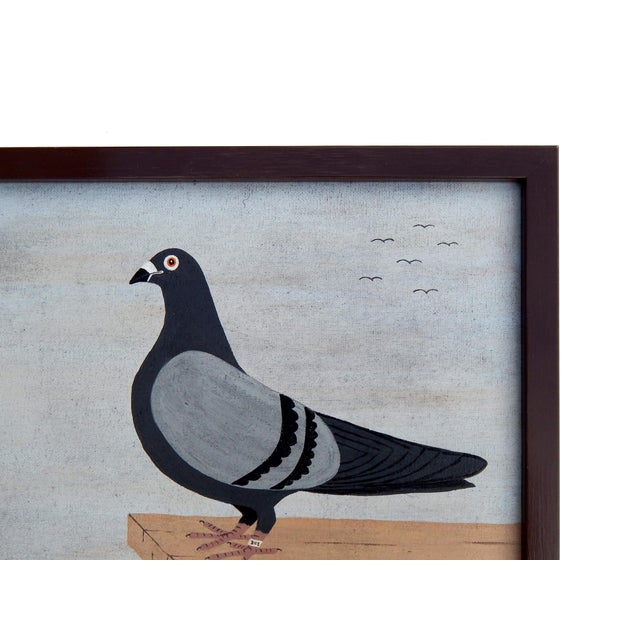 Early 21st Century Matt Rix, Racing Pigeon, Oil on Canvas, Framed For Sale - Image 5 of 12