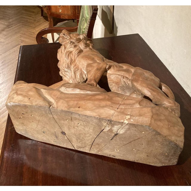Italian Artist, Large Lion, 19th Century, Wood For Sale - Image 16 of 17