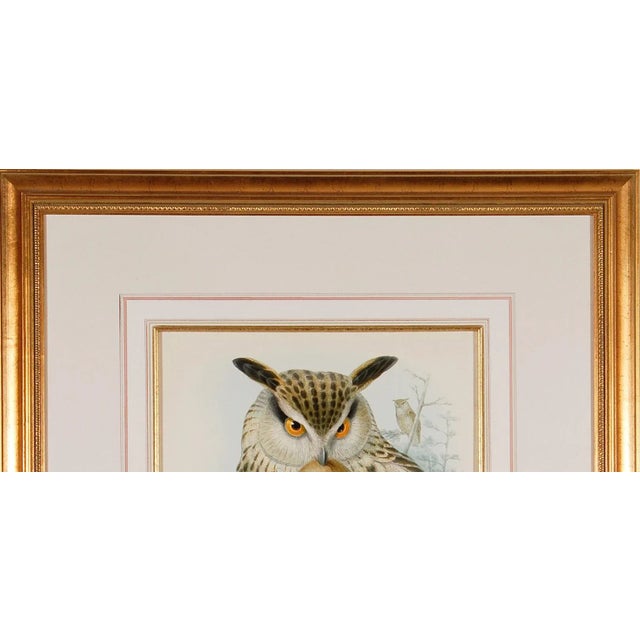 Mid 19th Century Eagle or Horned Owl: A Framed Original 19th C. Hand-Colored Lithograph by John Gould and Henry Constantine Richter, 1862-1873 For Sale - Image 5 of 5