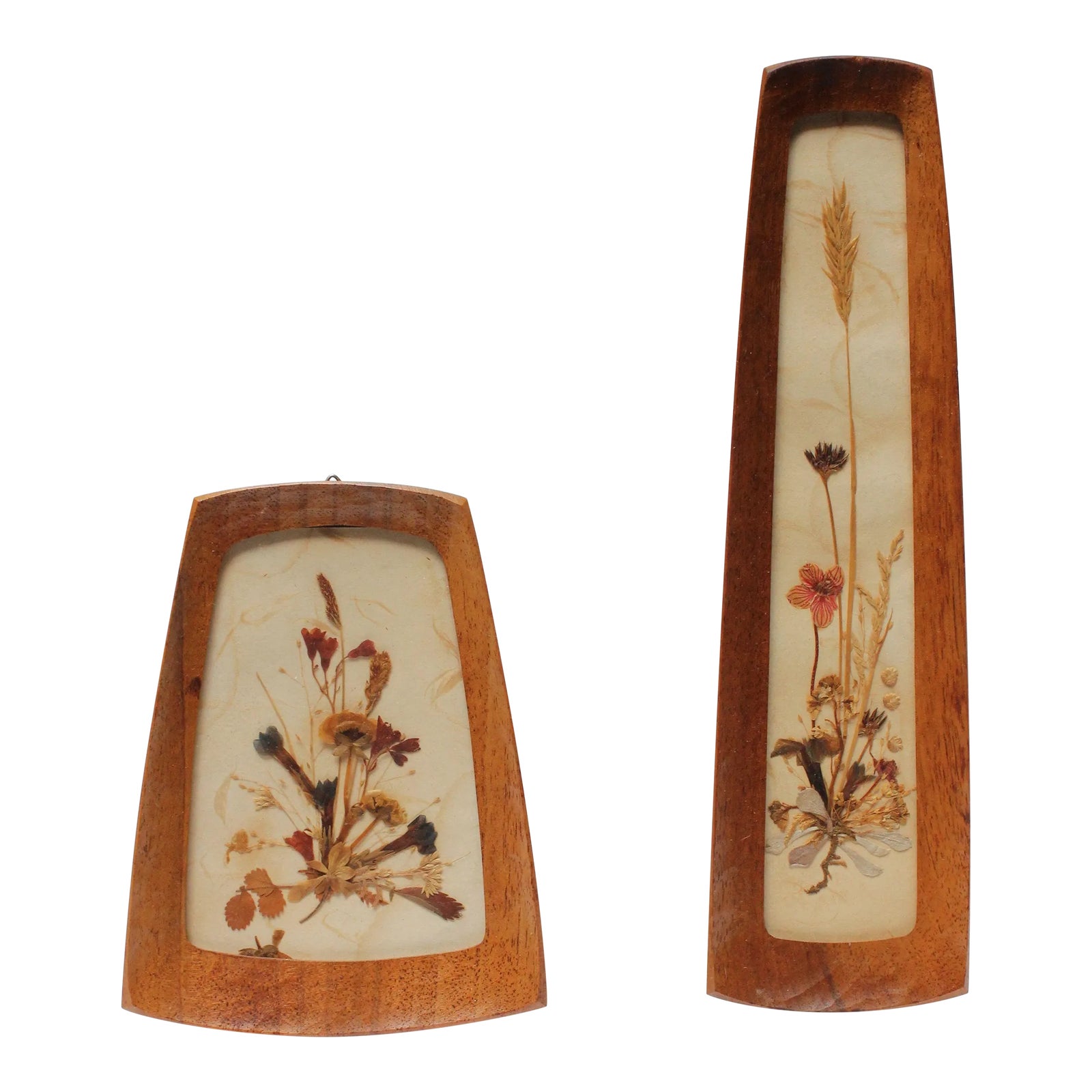 Set of Two Vintage Swiss Pressed and Dried Floral / Herbier Art Panels ...
