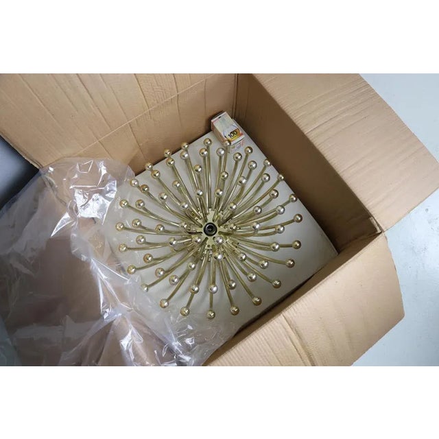 Pistillo Ceiling Lamp by Studio Tetrarch for Valenti Luce, 1969 For Sale - Image 11 of 13