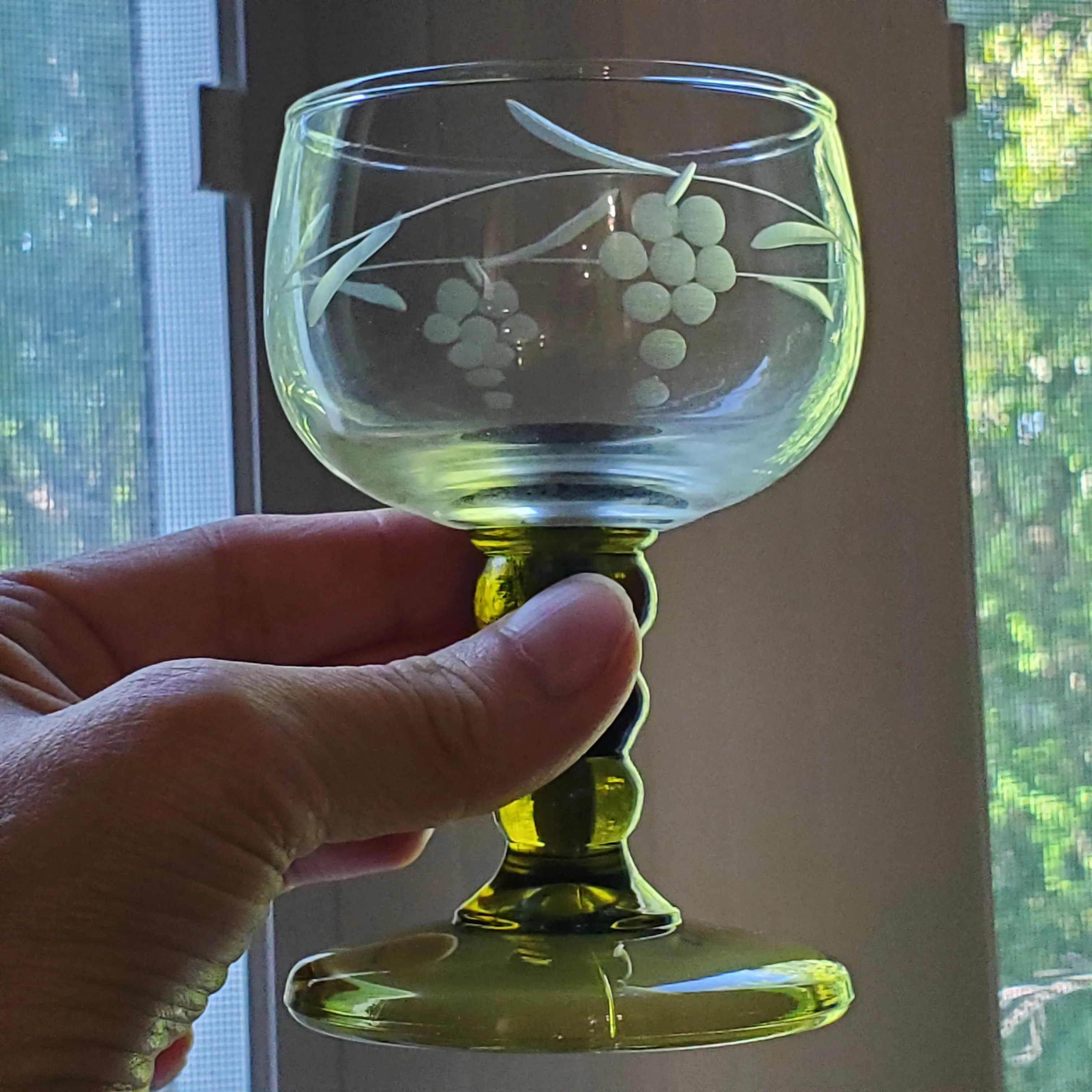 1970s Roemer Austrian Small Cordial Wine Glasses With Etched Grape Leaf  Design Green Stem- Set of 5