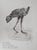 Cesar, Poule en marche, Lithograph For Sale