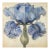 Blue Iris No. 2 – Antique Botanical Fine Art Print For Sale