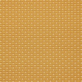 Sample - Schumacher Monserat Chenille Fabric in Gold For Sale