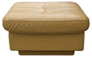 Leather DS 101 Seat from de Sede, 1960s