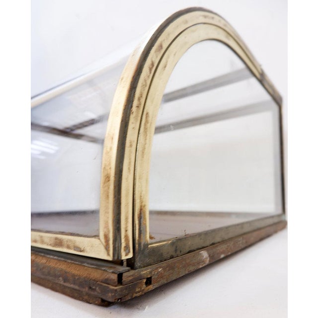 Antique Curved Glass Display Showcase, 1930s For Sale - Image 3 of 16