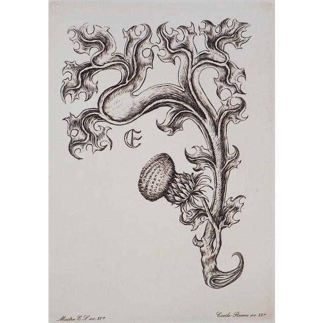 Cécile Reims Bloom Original etching Signed in pencil in the plate Numbered out of 59 copies On vellum 38 x 28 cm The...