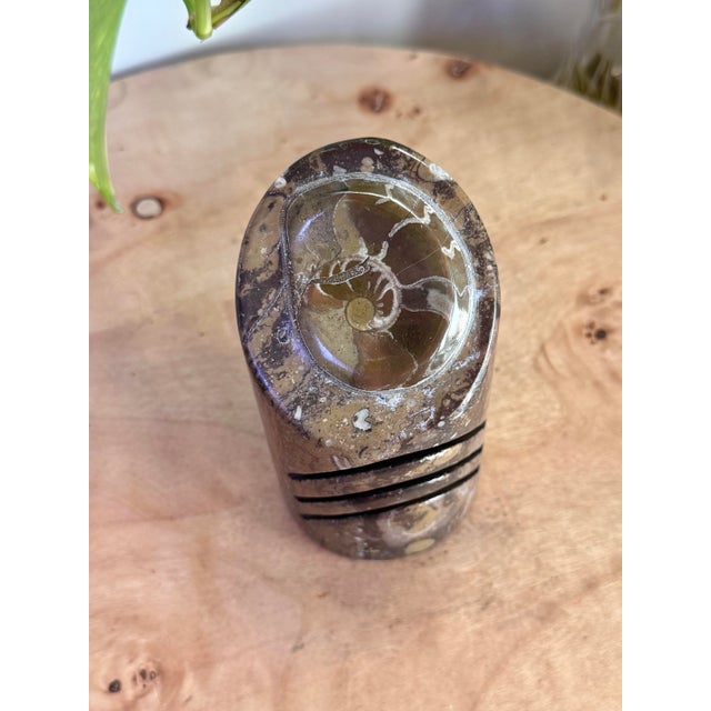 Mid 20th Century Polished Ammonite Fossil Card Holder For Sale - Image 10 of 11