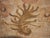 Tyrolean Painted Chest, 1791 For Sale - Image 13 of 18