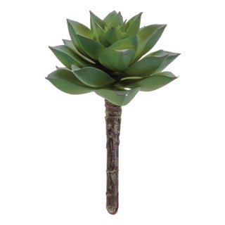Succulent Plant Pick (Set of 12) For Sale