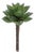 Succulent Plant Pick (Set of 12) For Sale