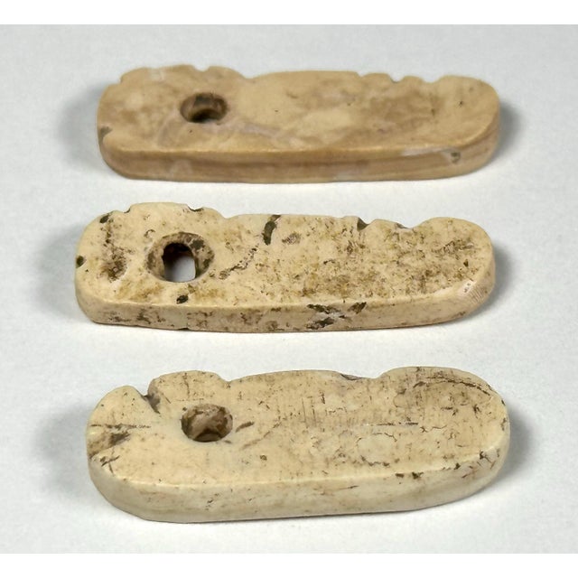 Early 18th Century Pre-Columbian Taino Shell Amulets: Zoomorphic Zemi Beads For Sale - Image 5 of 9