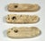 Early 18th Century Pre-Columbian Taino Shell Amulets: Zoomorphic Zemi Beads For Sale - Image 5 of 9