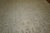 Zabihi Collection Large White Antique Persian Tabriz Rug - 11'8" x 17'5" For Sale - Image 11 of 12