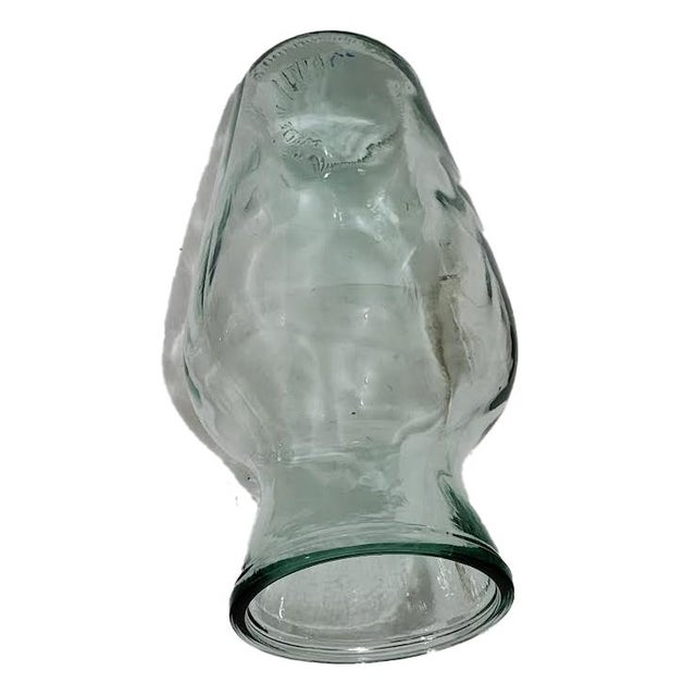1980s 19-Inch Italian Blown Glass Baluster Vase With Bulk Coastal Seashell Collection For Sale - Image 5 of 6