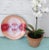 Rustic Enamel Copper Southwest Dish Rain Dancer For Sale - Image 3 of 6