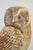Naturalistic Stoneware Owl Figurines by Sven Wejsfelt for Gustavsberg, 1980s, Set of 6 For Sale - Image 3 of 5