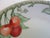 These two small fruit porcelain plates have been made around 1880-1910 by Z.S.& Co Bavaria that stands for the Zeh,...