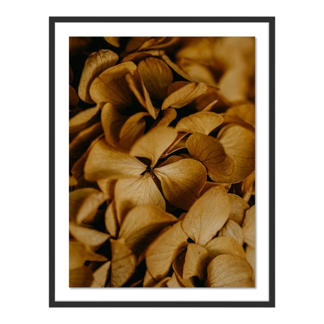 Untitled by Annie Spratt Contemporary Photograph in Black Frame, Large For Sale