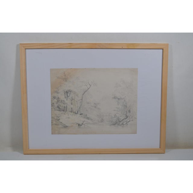 French school of the 20th century. Pencil drawing “tree landscape” 25 x 19 cm, total dimensions with frame 16.5 x 12.6 in...