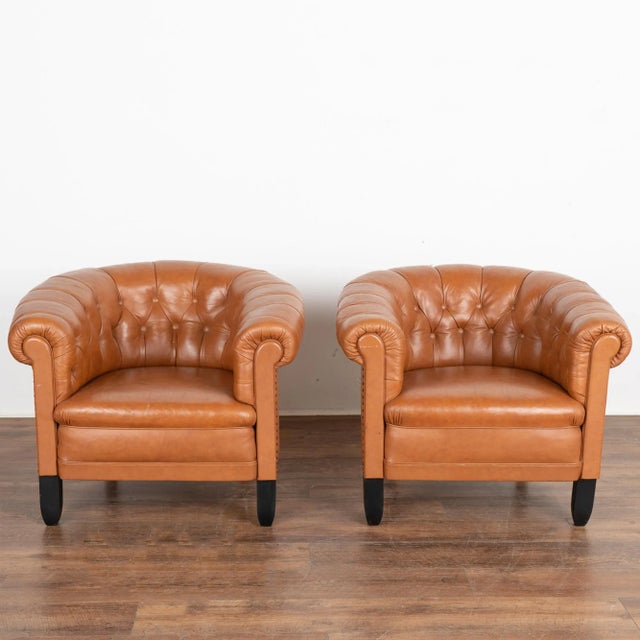 Pair, brown leather barrel back arm chairs with contrasting black hard wood legs. Upholstered club chairs in button-tufted...