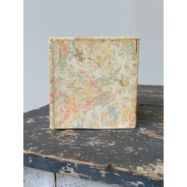 Vintage Mounted Wasp Nest Shadow Box With Panoramic Graduate Photo, Circa 1960s For Sale - Image 12 of 13