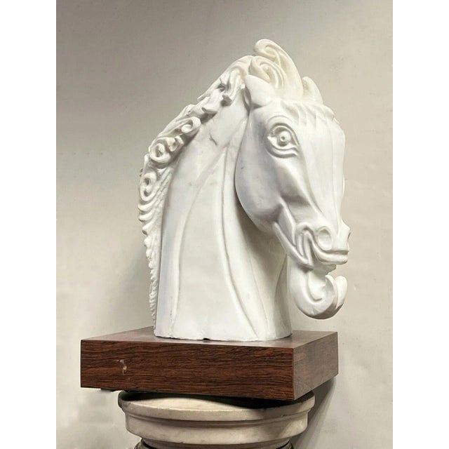 Marble Sculpture of Horse by Amadeo Gennarelli (1881-1943) For Sale In New York - Image 6 of 7